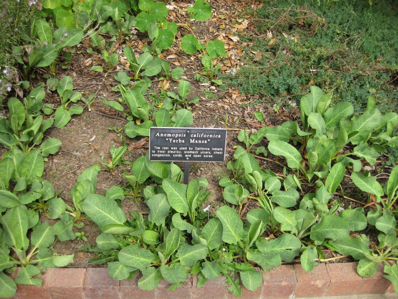 File:IMG 5230 hunt0904.jpg