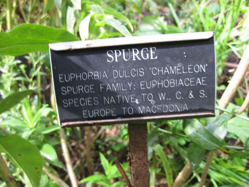 File:1024px-IMG 0669 bbg09.jpg
