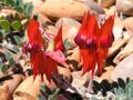 Thumbnail for version as of 09:01, 29 April 2025