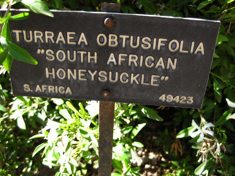 File:1280px-IMG 2066 hunt09oct.jpg