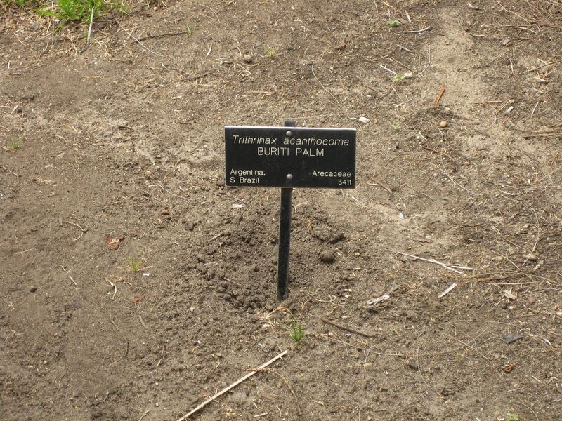 File:1280px-IMG 4100 hunt0904.jpg