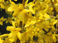 Thumbnail for version as of 20:14, 9 November 2007