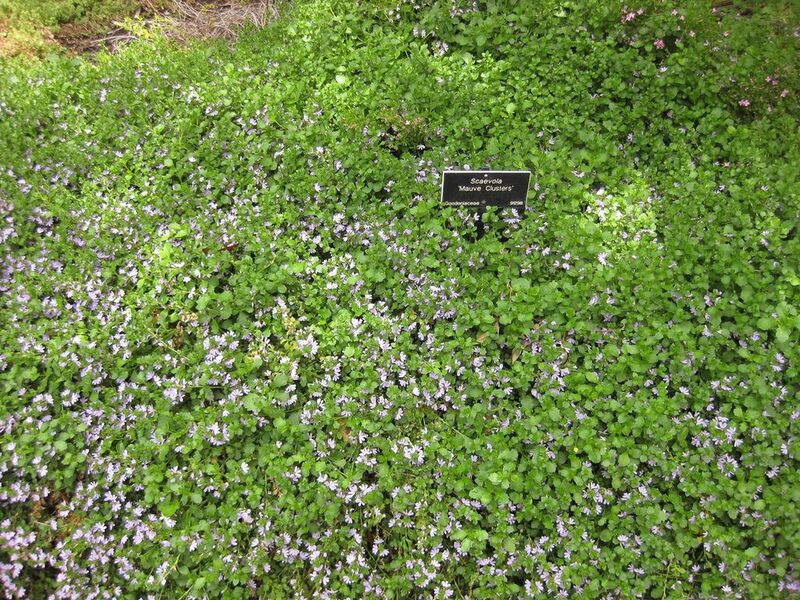 File:1024px-IMG 7317 hunt09jun.jpg