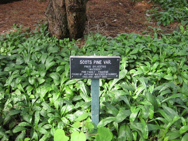 File:1280px-IMG 0686 bbg09.jpg