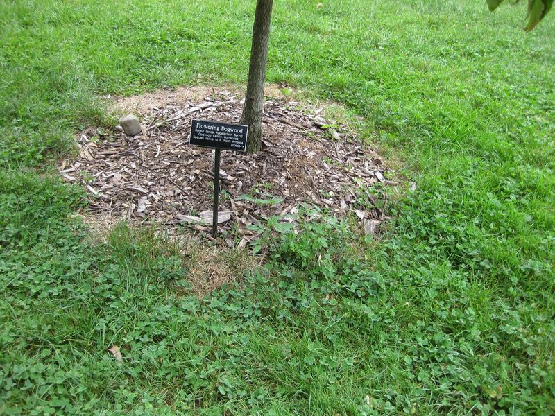 File:1280px-IMG 1350 bbg09.jpg