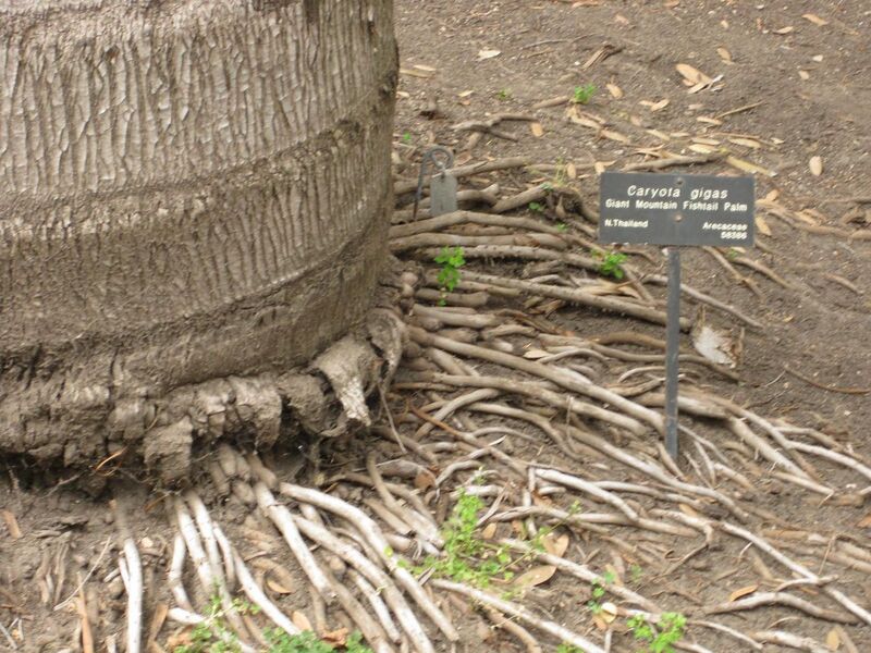 File:1280px-IMG 3927 hunt0904.jpg