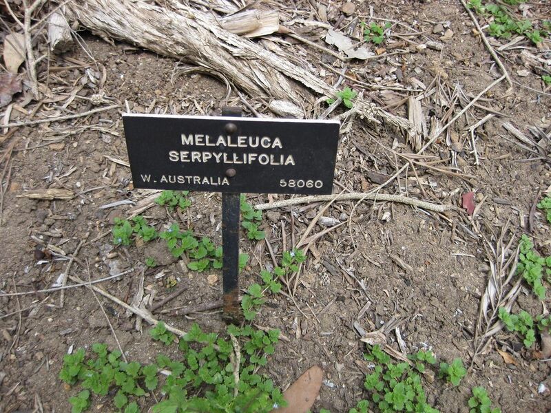 File:1280px-IMG 4554 hunt0904.jpg