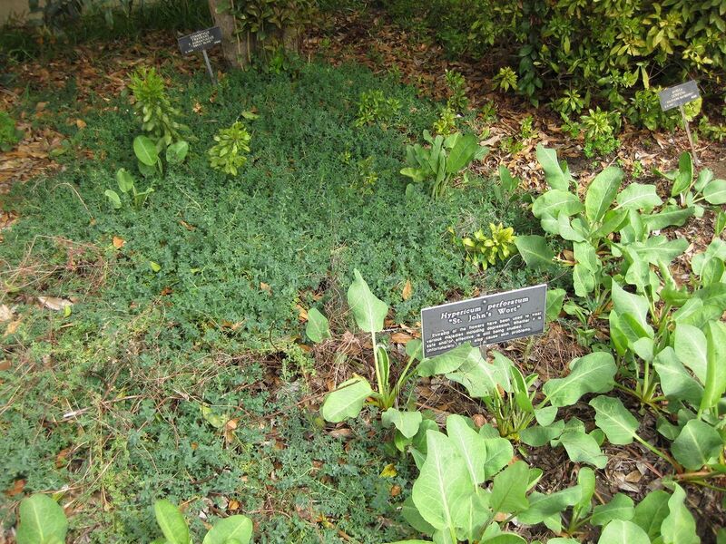 File:1280px-IMG 5231 hunt0904.jpg