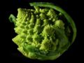 Romanesco broccoli, showing fractal forms