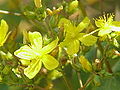 Thumbnail for version as of 09:08, 29 April 2025
