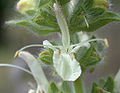 Thumbnail for version as of 09:08, 29 April 2025