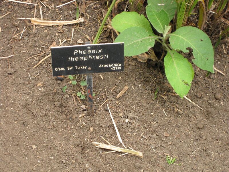 File:1280px-IMG 4036 hunt0904.jpg