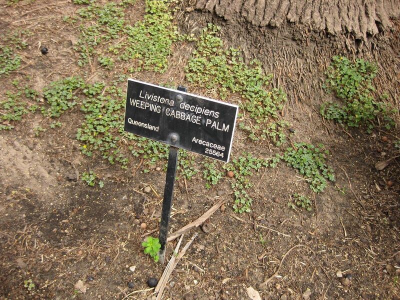 File:1280px-IMG 4103 hunt0904.jpg