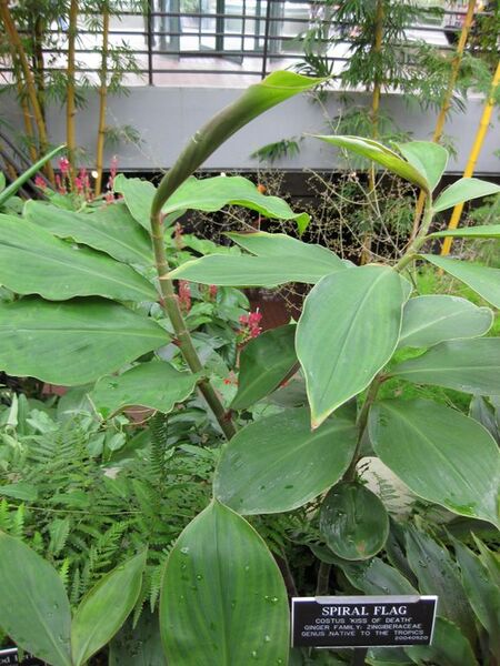 File:576px-IMG 0920 bbg09.jpg