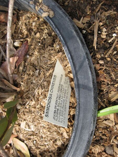 File:576px-IMG 5276 hunt0904.jpg