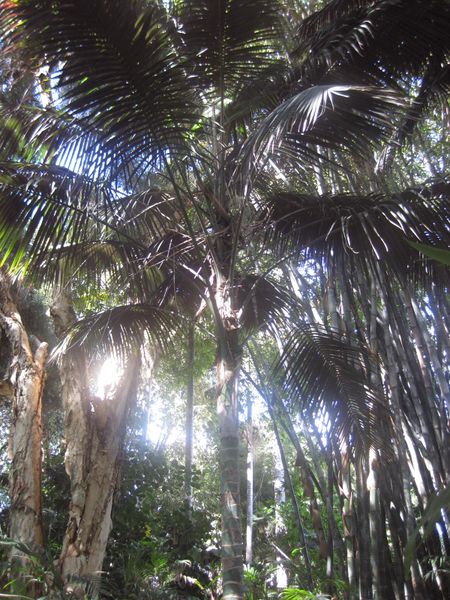 File:IMG 2051 hunt0903.jpg