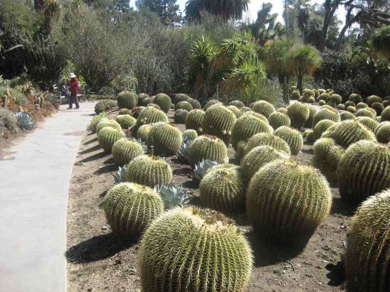 File:IMG 2183 hunt0903.jpg