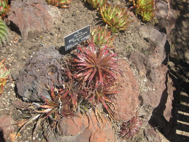 File:IMG 2206 hunt0903.jpg