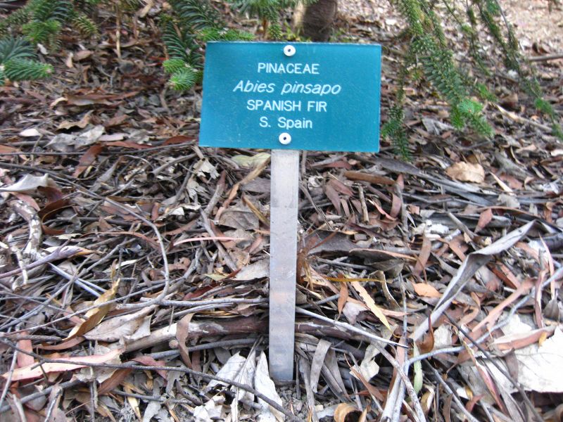 File:IMG 2589 ucla09.jpg