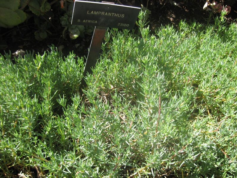 File:1280px-IMG 2143 hunt0903.jpg