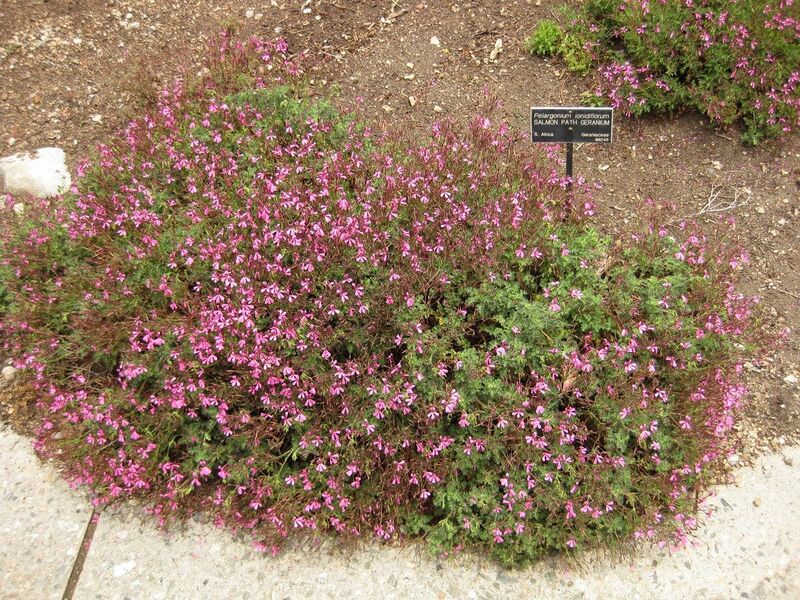 File:1280px-IMG 7220 hunt09jun.jpg