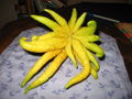 Thumbnail for version as of 18:35, 22 July 2009