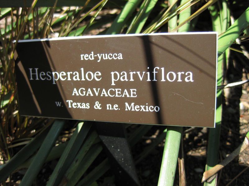 File:IMG 0282 nybg09.jpg