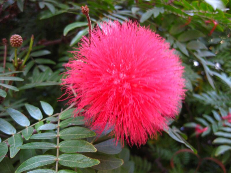 File:Jbtr4jcnt6r2xy77xzjpkxllz9vicyh.jpg