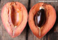 Thumbnail for version as of 16:48, 3 September 2008