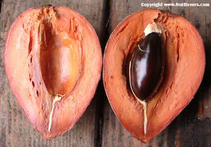 File:MameyHalves-fruitlovers.jpg