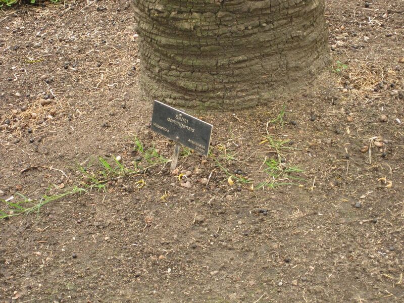 File:1280px-IMG 4042 hunt0904.jpg