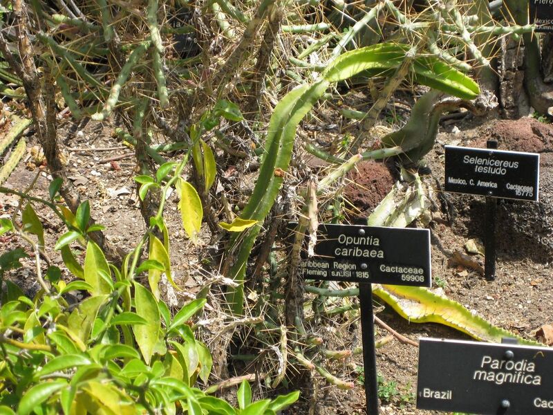 File:1280px-IMG 4277 hunt0904.jpg