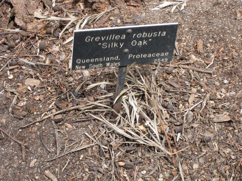 File:1280px-IMG 4627 hunt0904.jpg