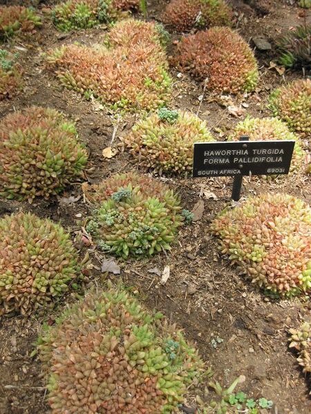 File:576px-IMG 7483 hunt09jun.jpg