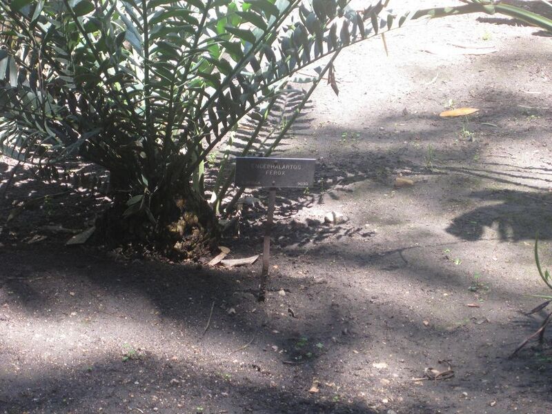 File:1024px-IMG 2026 hunt0903.jpg