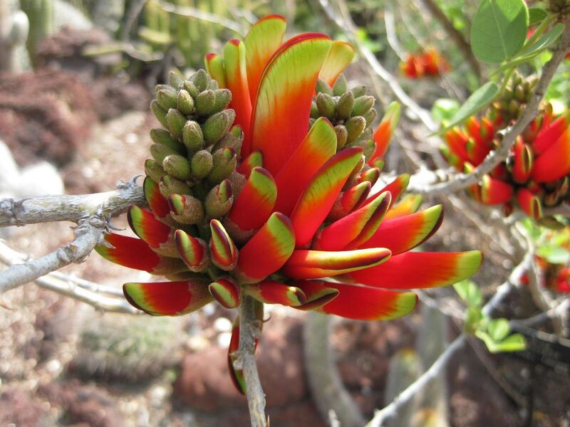 File:1280px-IMG 4253 hunt0904.jpg