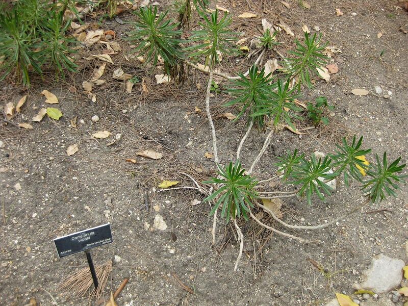 File:1280px-IMG 4933 hunt0904.jpg