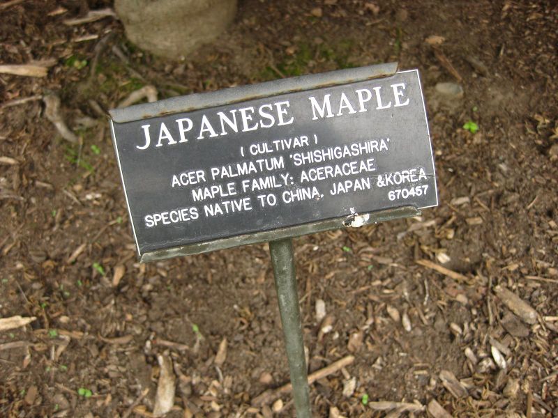 File:IMG 1419 bbg09.jpg