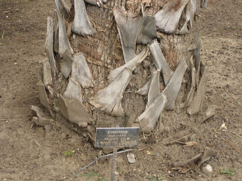 File:1024px-IMG 3898 hunt0904.jpg