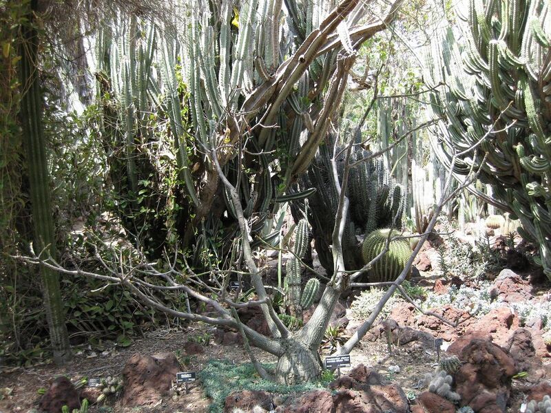 File:1280px-IMG 4268 hunt0904.jpg