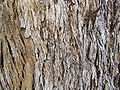 Thumbnail for version as of 10:32, 29 April 2025