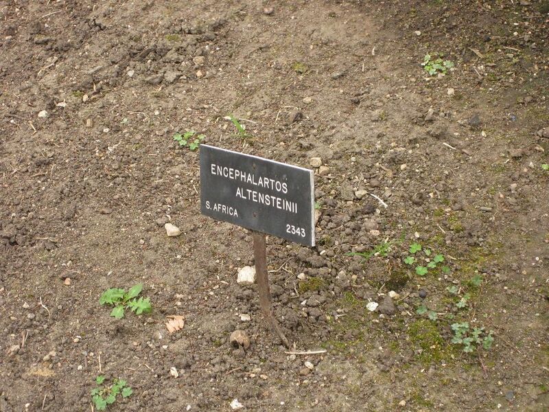 File:1024px-IMG 4016 hunt0904.jpg