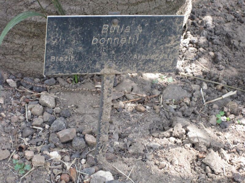 File:1024px-IMG 4157 hunt0904.jpg