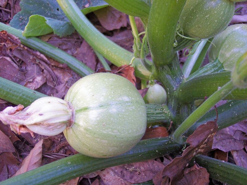 File:1280px-Cue ball 3.jpg