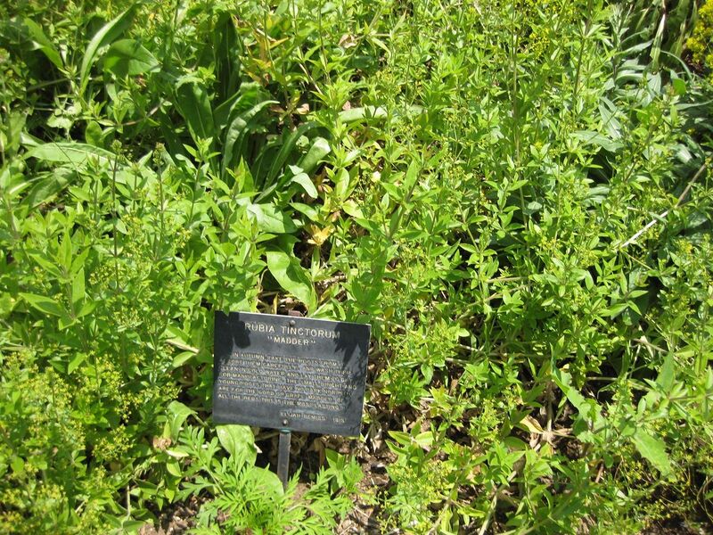 File:1280px-IMG 7645 hunt09jun.jpg