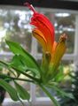 Thumbnail for version as of 05:24, 24 January 2008