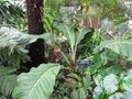 Thumbnail for version as of 17:46, 27 November 2009