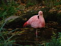 Thumbnail for version as of 07:28, 22 June 2007