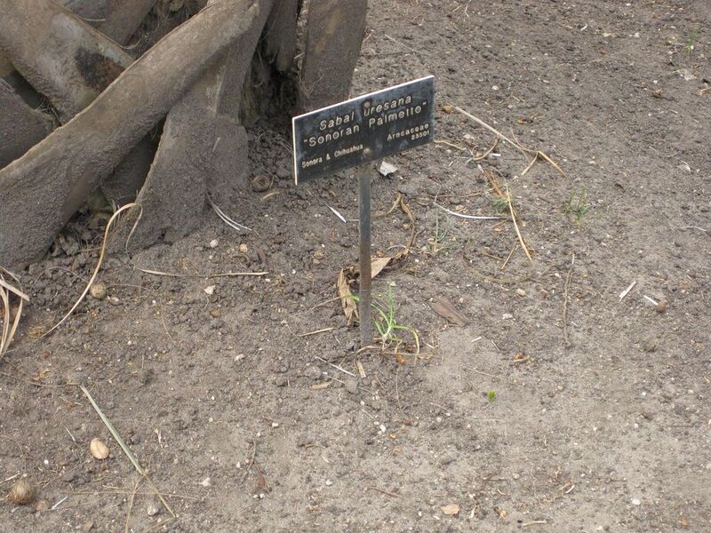 File:1024px-IMG 4117 hunt0904.jpg