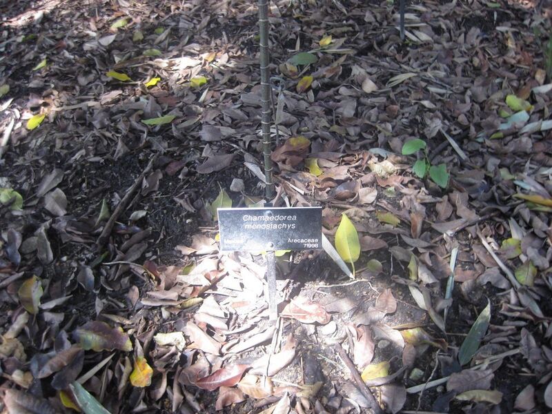 File:1280px-IMG 2038 hunt0903.jpg